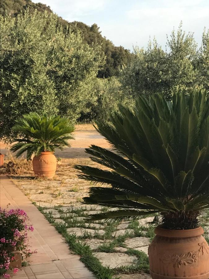 Bed and Breakfast Stella D'Argento Porto Santo Stefano  Exterior foto