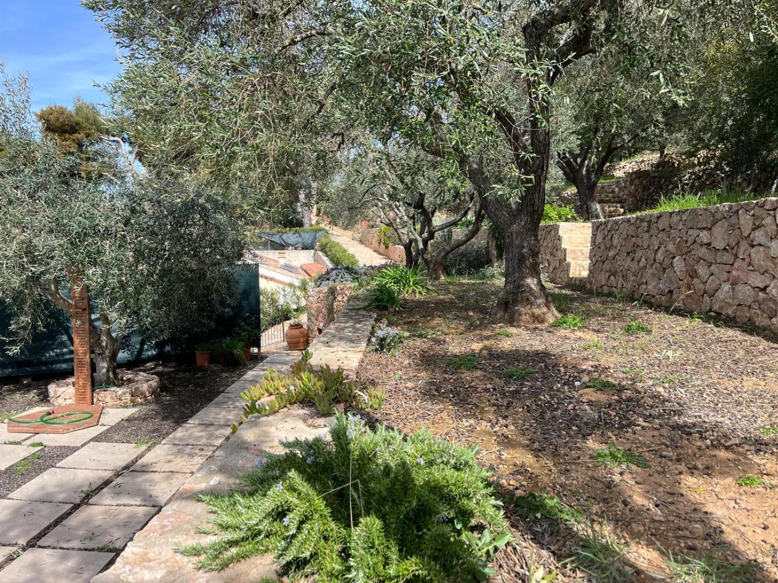 Bed and Breakfast Stella D'Argento Porto Santo Stefano  Exterior foto